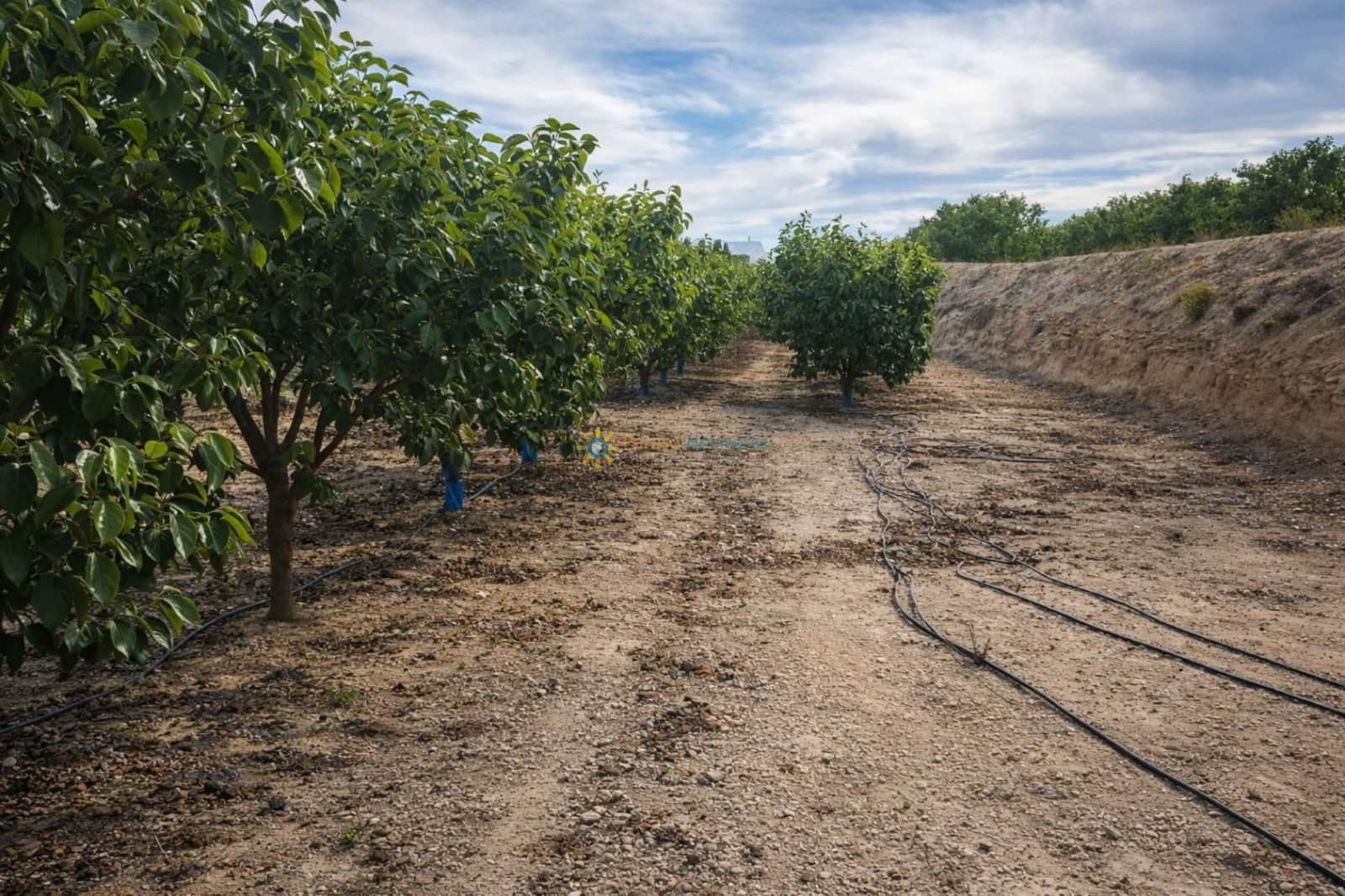 Villa for sale in Beniganim with garage - € 88,000 (Ref: 9694527)