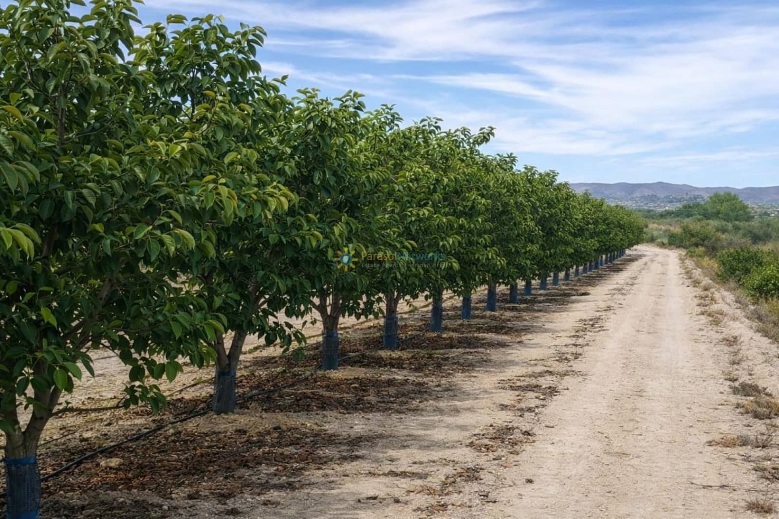 Villa for sale in Beniganim with garage - € 88,000 (Ref: 9694527)