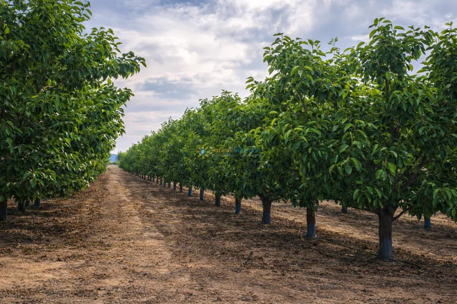 Villa for sale in Beniganim with garage - € 88,000 (Ref: 9694527)