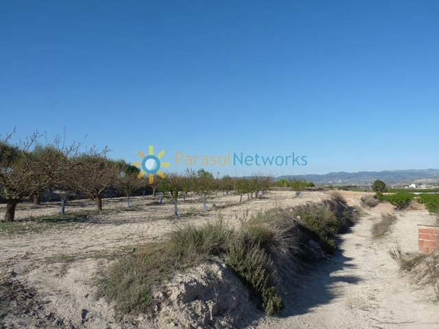 Landgrundstück zu verkaufen in Bèlgida - 125.000 € (Ref: 9699225)