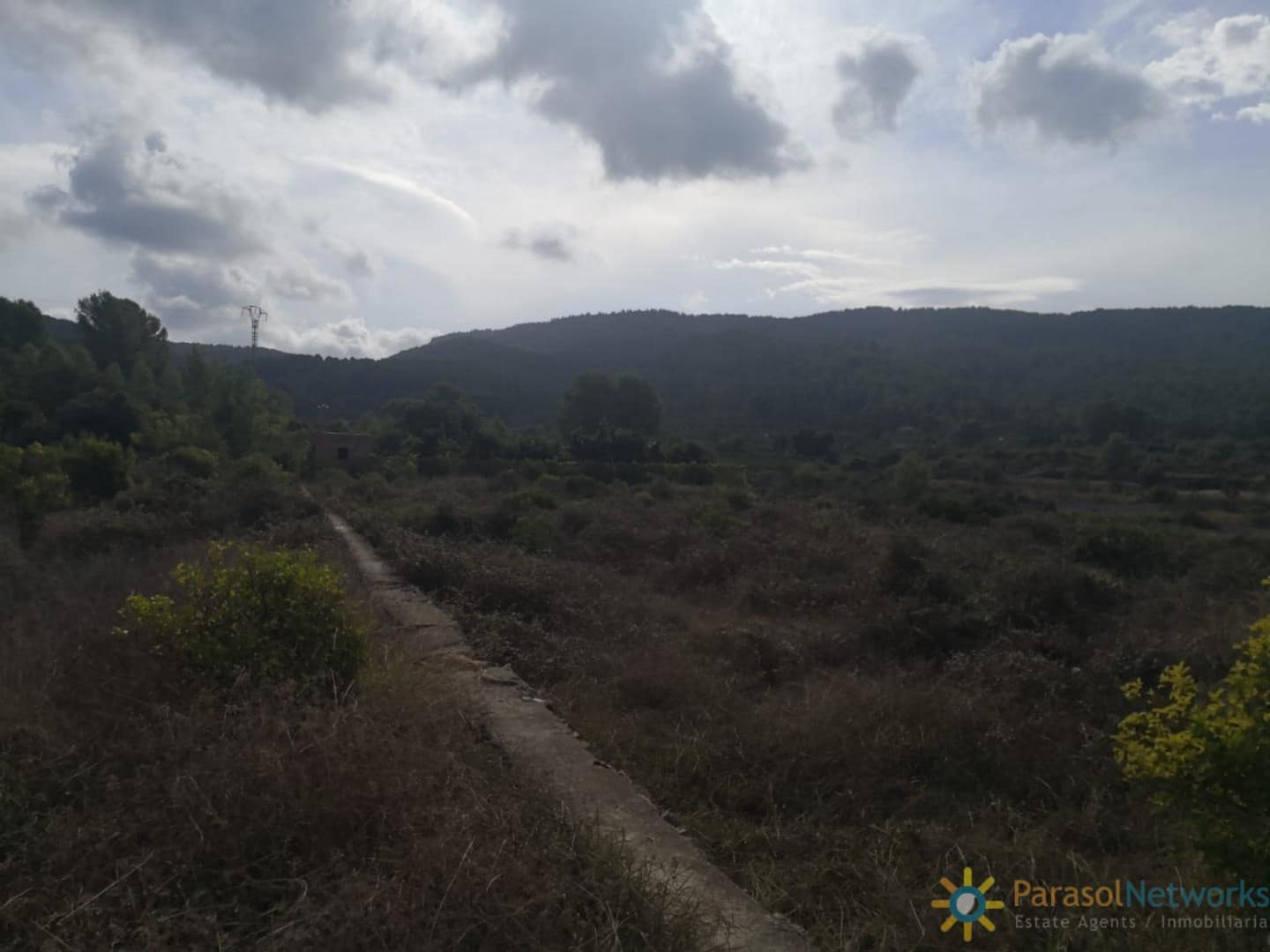 Terre non Aménagée à vendre à Villalonga - 60 000 € (Ref: 9699322)