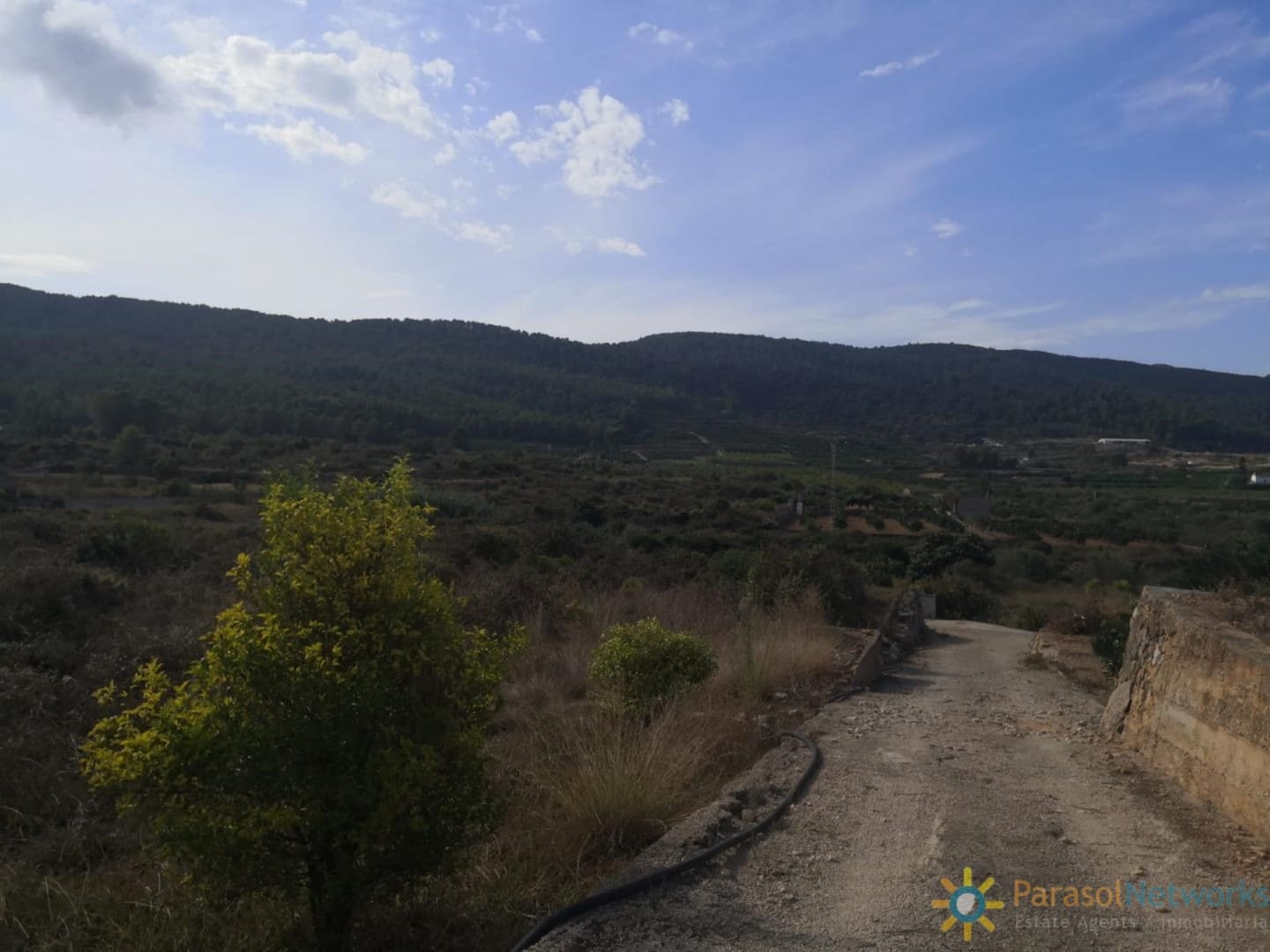 Terre non Aménagée à vendre à Villalonga - 60 000 € (Ref: 9699322)