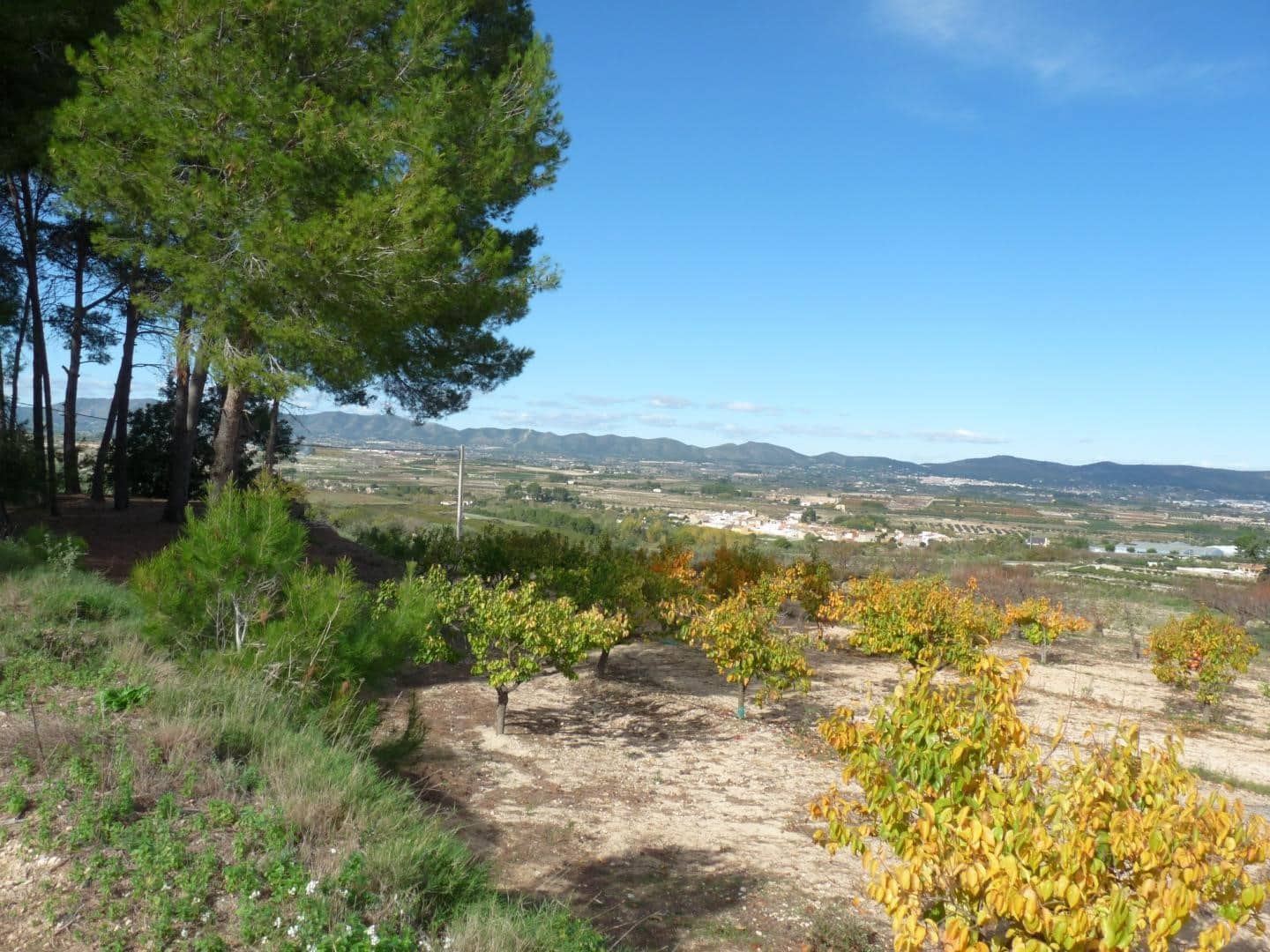 1 soverom Finca/Herregård til salgs i Albaida med garasje - € 95 000 (Ref: 9699669)