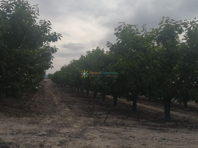 Grunde uden byggetilladelser til salg i Benigánim - € 88.000 (Ref: 9700050)