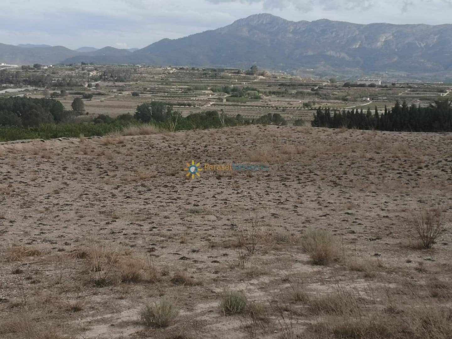 Grunde uden byggetilladelser til salg i Beniganim - € 88.000 (Ref: 9700050)