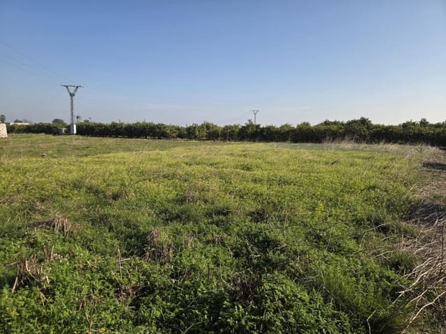 Grunde uden byggetilladelser til salg i Rafelcofer - € 5.000 (Ref: 9709124)