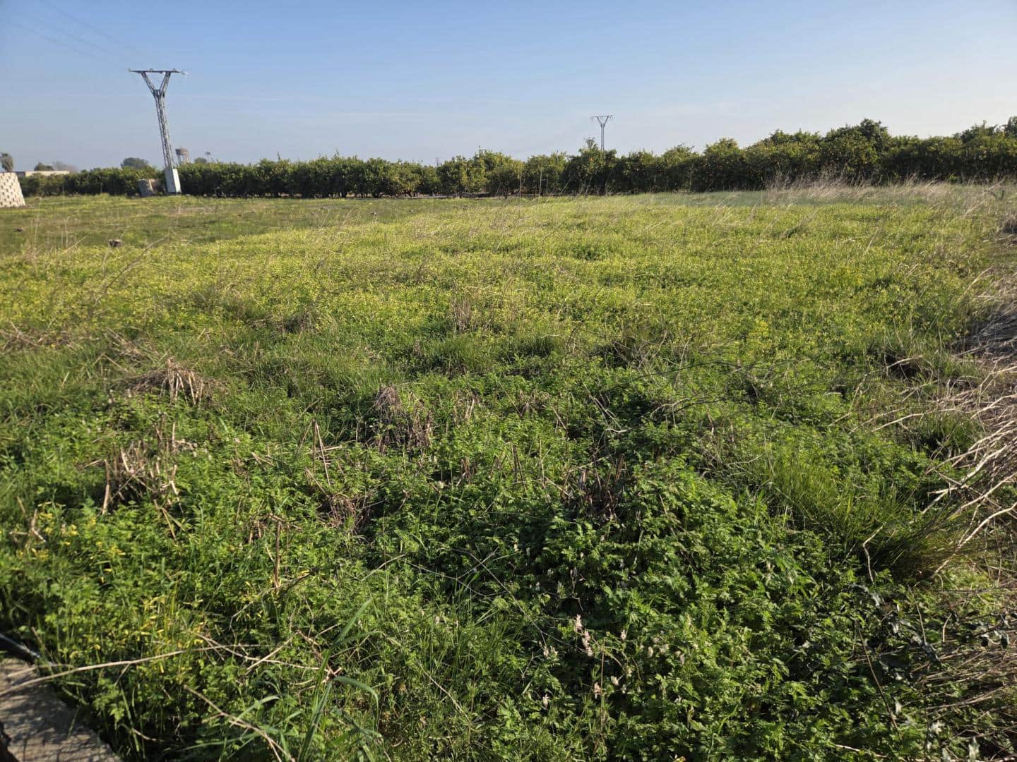 Grunde uden byggetilladelser til salg i Rafelcofer - € 5.000 (Ref: 9709124)