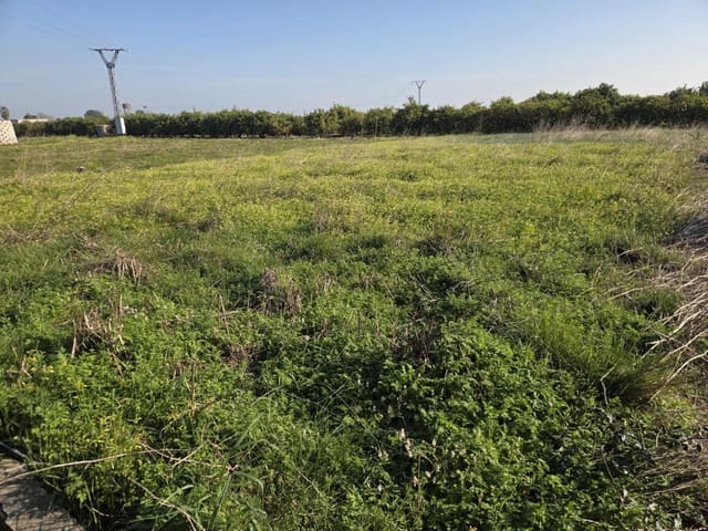 Grunde uden byggetilladelser til salg i Rafelcofer - € 5.000 (Ref: 9709124)