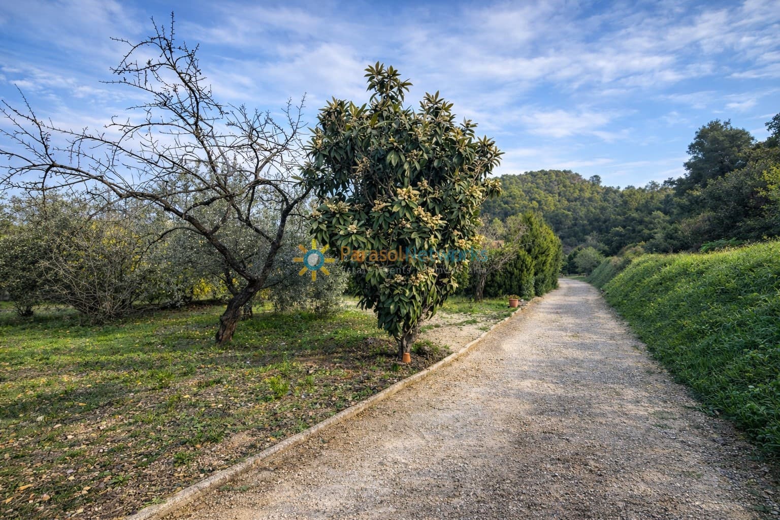 3 bedroom Villa for sale in Ontinyent with pool garage - € 210,000 (Ref: 9719344)