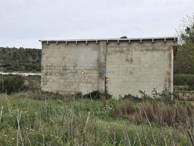 Terre non Aménagée à vendre à Benigánim - 170 000 € (Ref: 9720430)