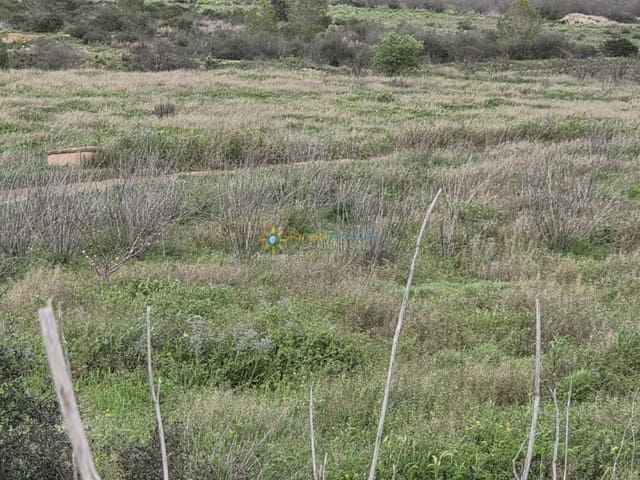 Terre non Aménagée à vendre à Benigánim - 170 000 € (Ref: 9720430)