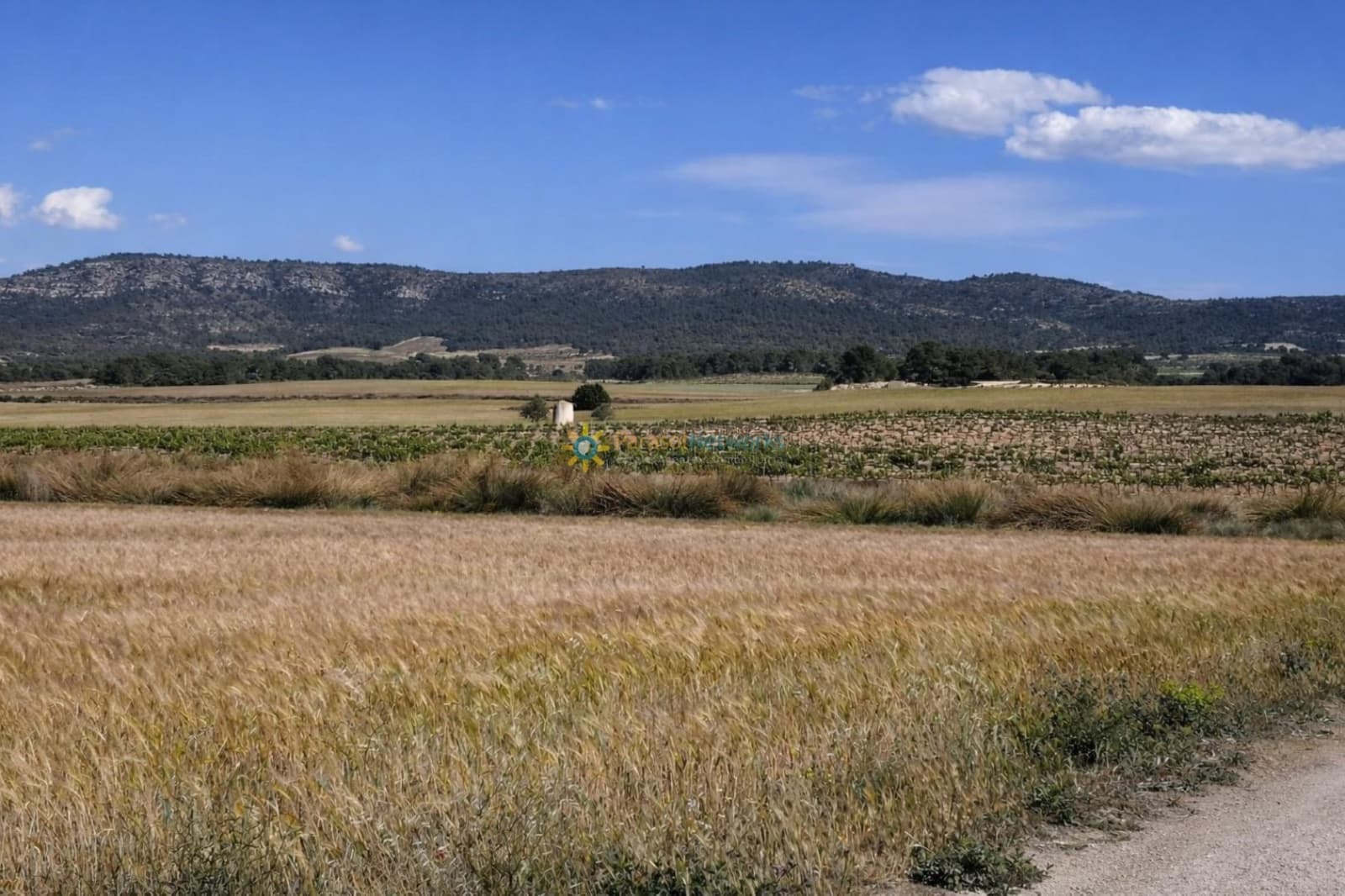 3 bedroom Finca/Country House for sale in Villena with garage - € 1,000,000 (Ref: 9720791)