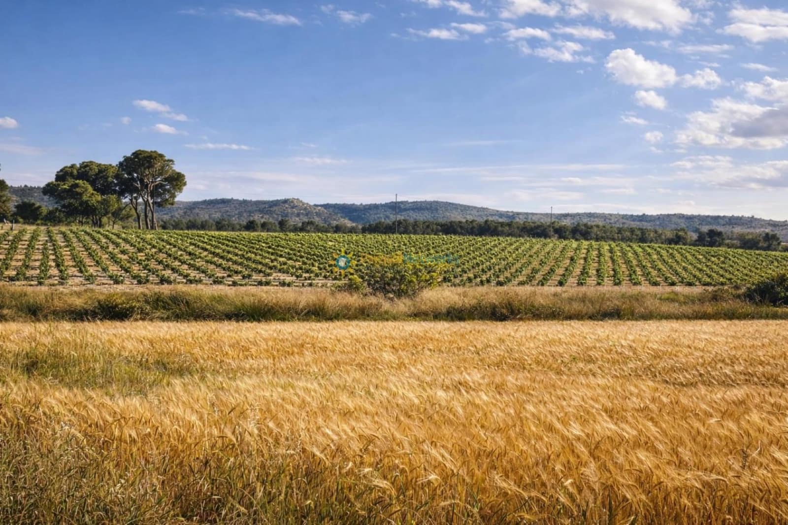 3 bedroom Finca/Country House for sale in Villena with garage - € 1,000,000 (Ref: 9720791)