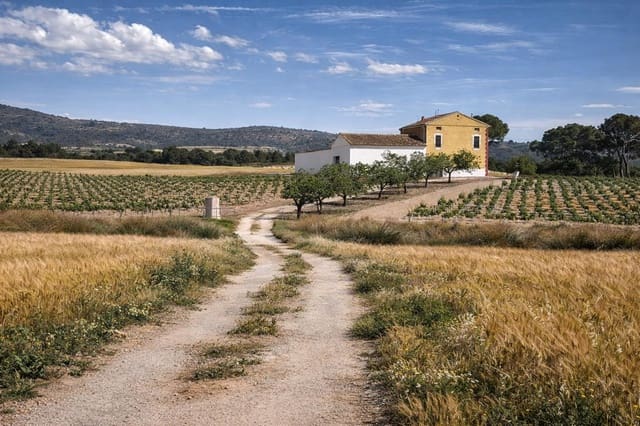 Finca/Casa Rural de 3 habitaciones en Villena en venta con garaje - 1.000.000 € (Ref: 9720791)