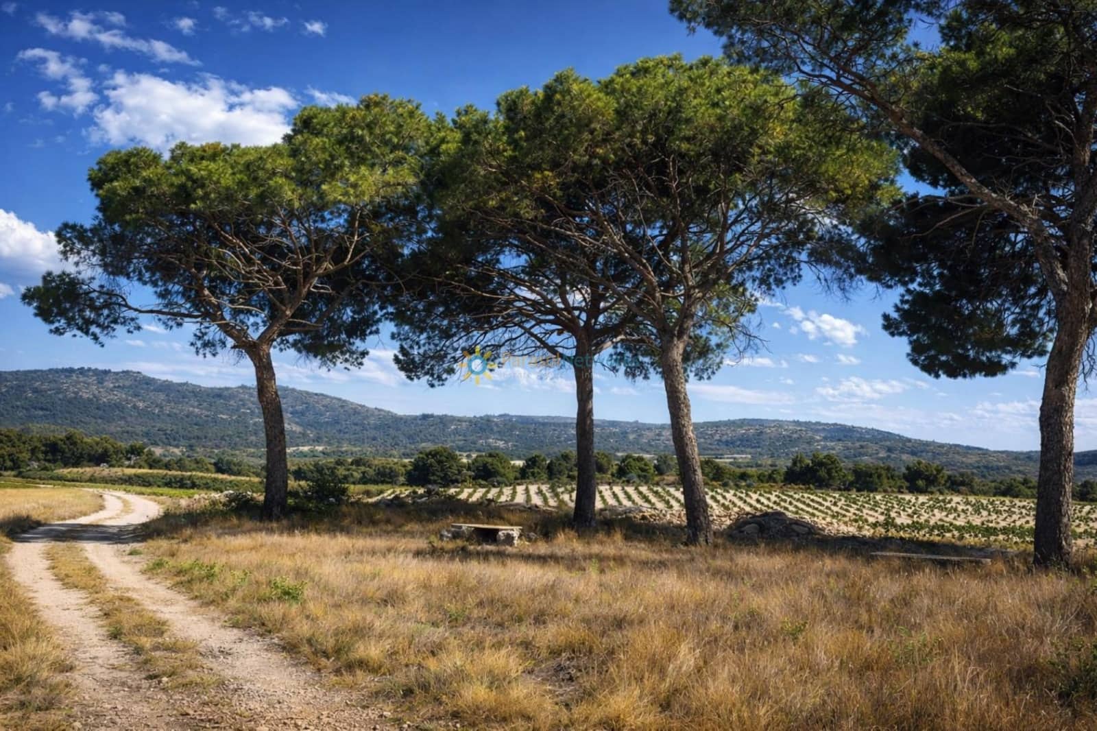 3 bedroom Finca/Country House for sale in Villena with garage - € 1,000,000 (Ref: 9720791)