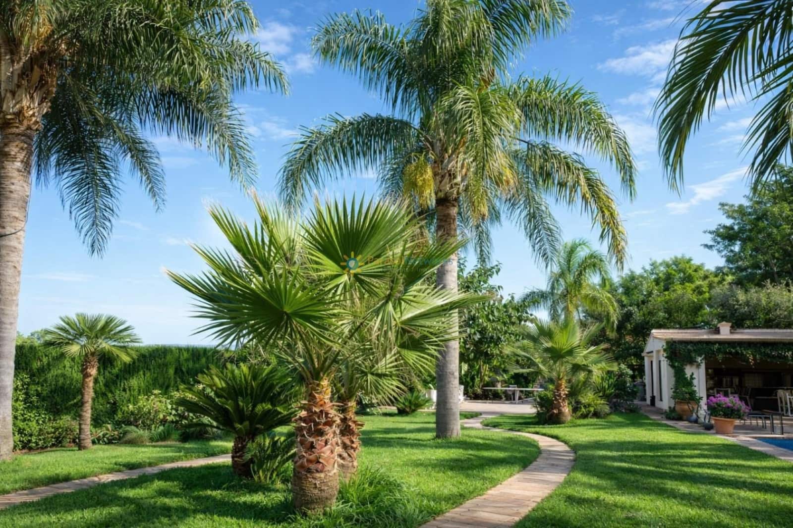 5 bedroom Villa for sale in Gandia with pool garage - € 1,100,000 (Ref: 9725062)