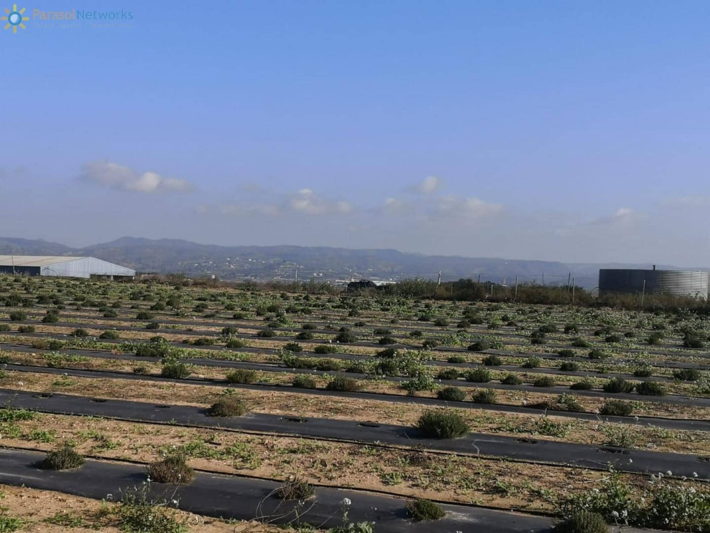 Mark till salu i Beniganim - 69 000 € (Ref: 9733225)