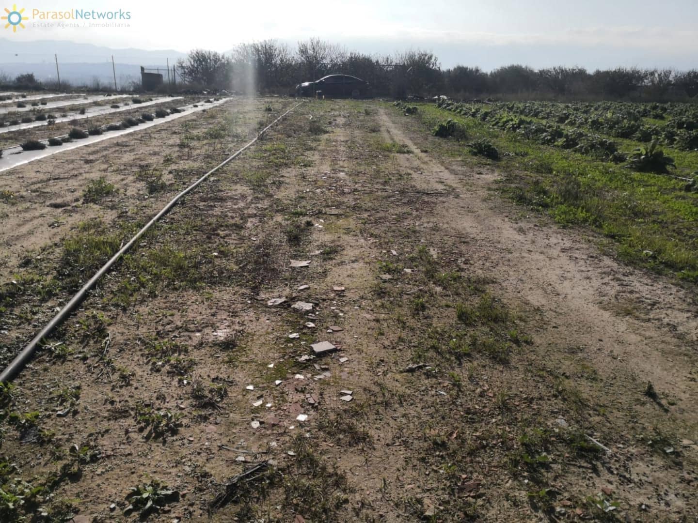 Mark till salu i Beniganim - 69 000 € (Ref: 9733225)