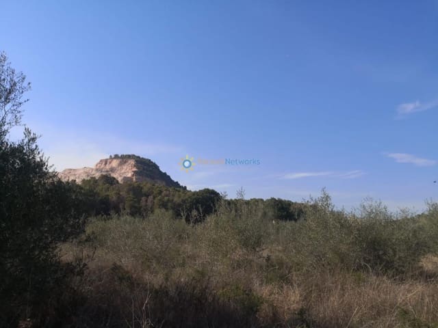 Building Plot for sale in Pego - € 29,000 (Ref: 9733943)