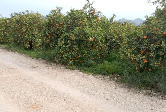 Building Plot for sale in Pego - € 29,000 (Ref: 9733943)