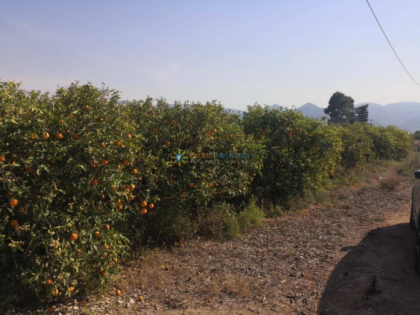 Building Plot for sale in Pego - € 29,000 (Ref: 9733943)