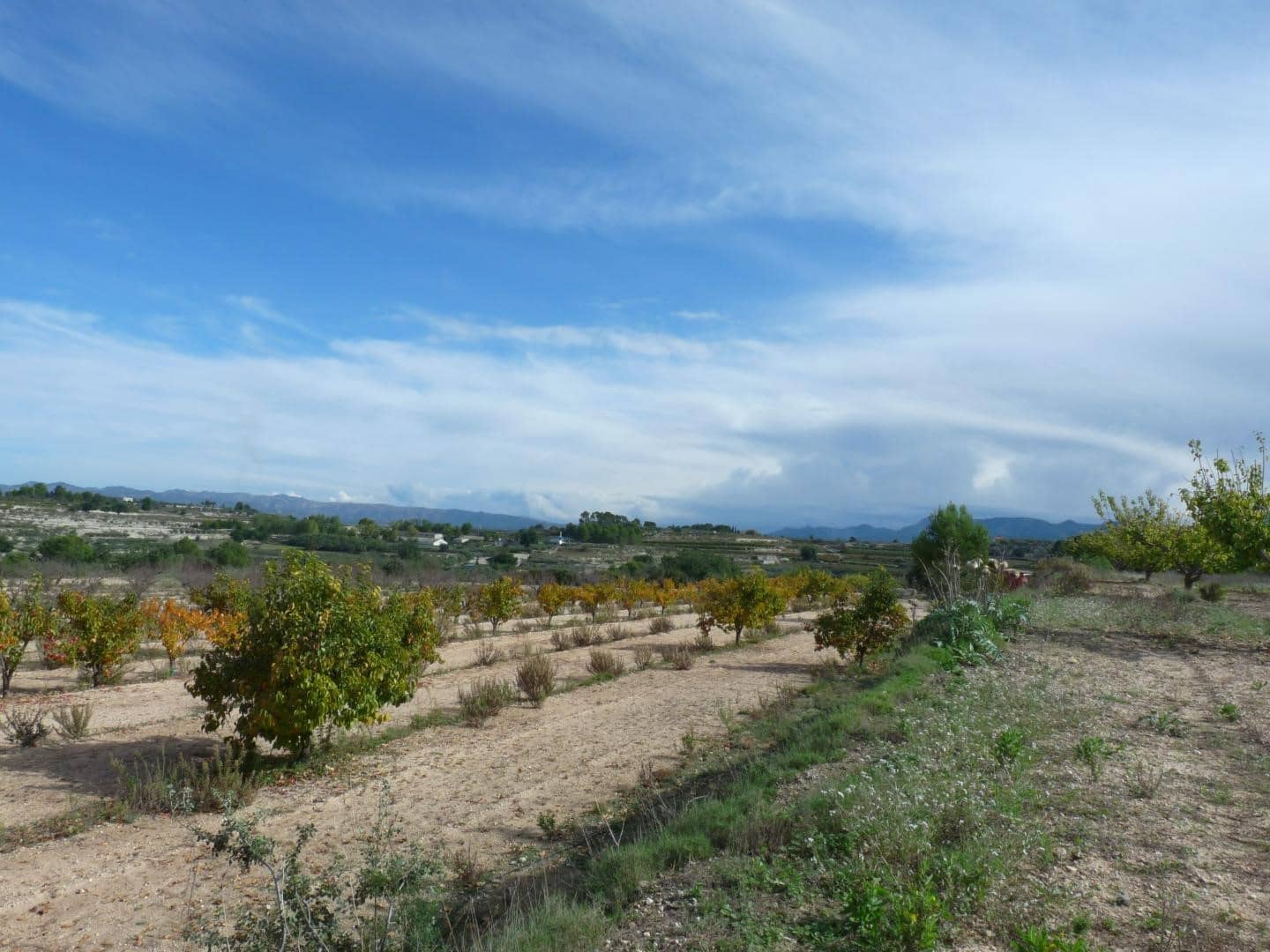 1 bedroom Finca/Country House for sale in Albaida with garage - € 95,000 (Ref: 9733978)