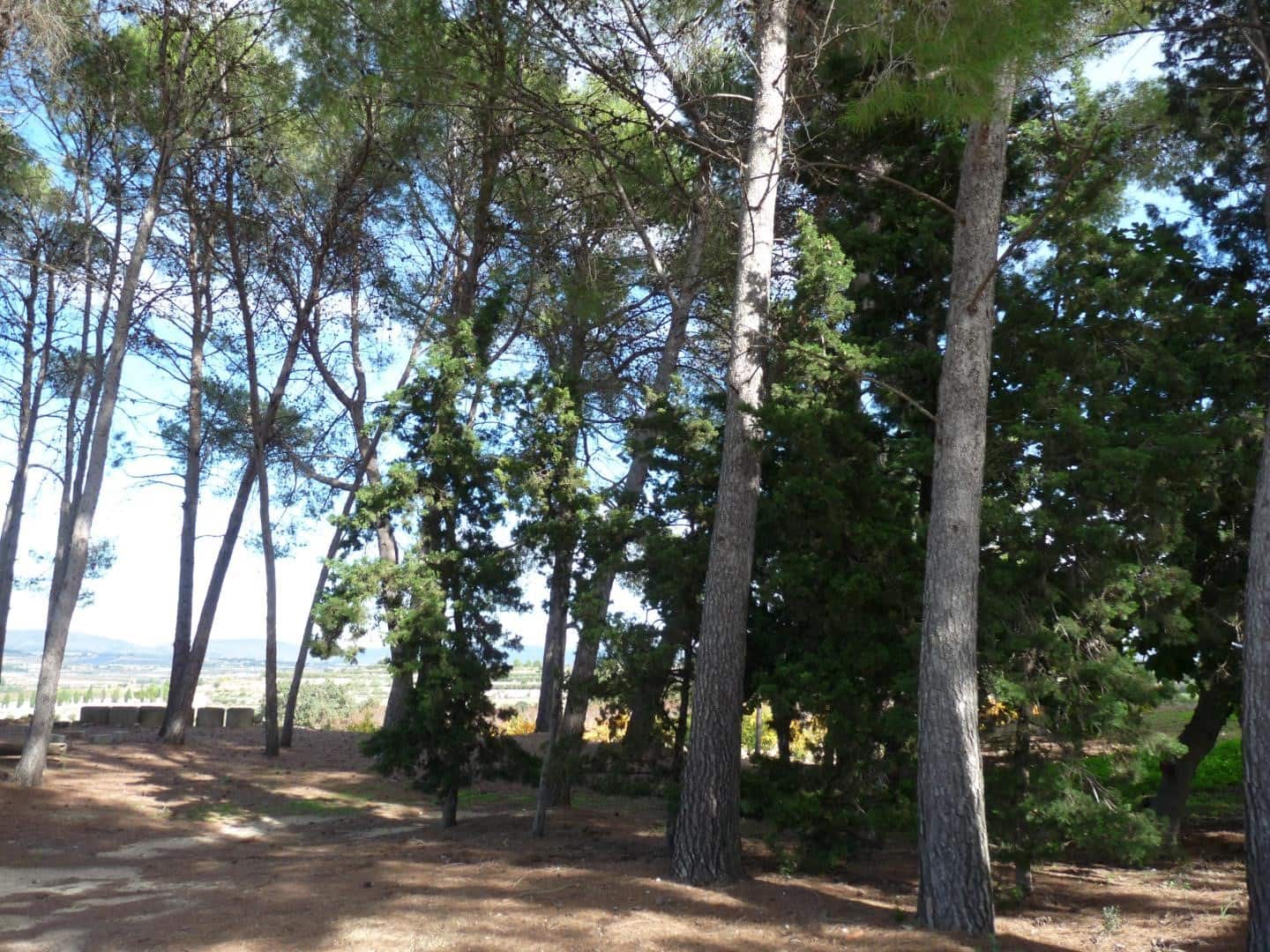 1 bedroom Finca/Country House for sale in Albaida with garage - € 95,000 (Ref: 9733978)