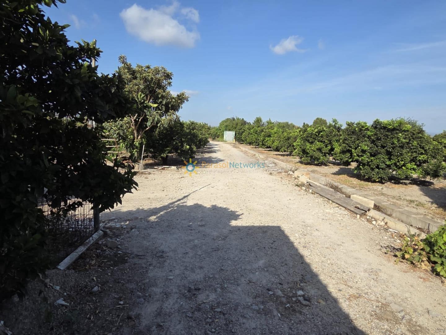 Maalaistalo myytävänä paikassa Senyera - 65 000 € (Ref: 9737175)