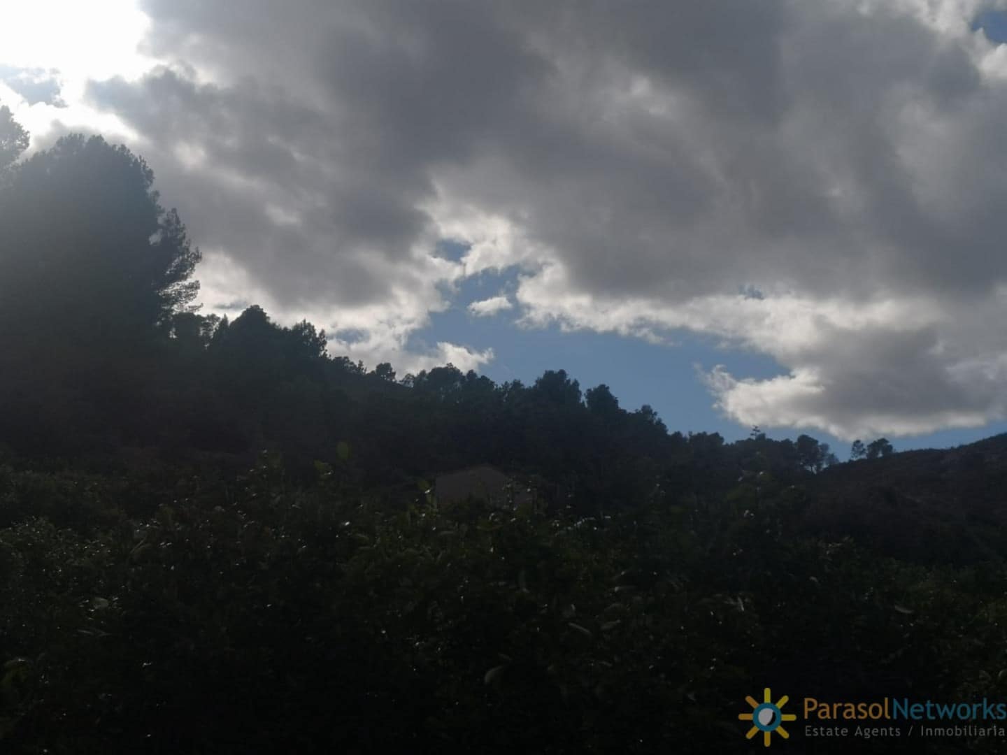 Undeveloped Land for sale in Sellent - € 31,000 (Ref: 9737343)