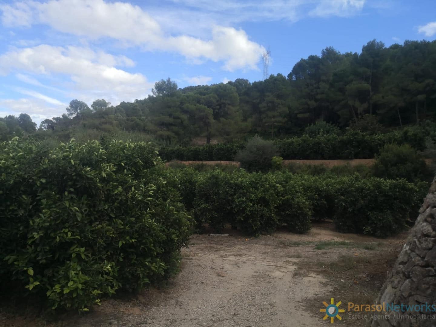 Undeveloped Land for sale in Sellent - € 31,000 (Ref: 9737343)