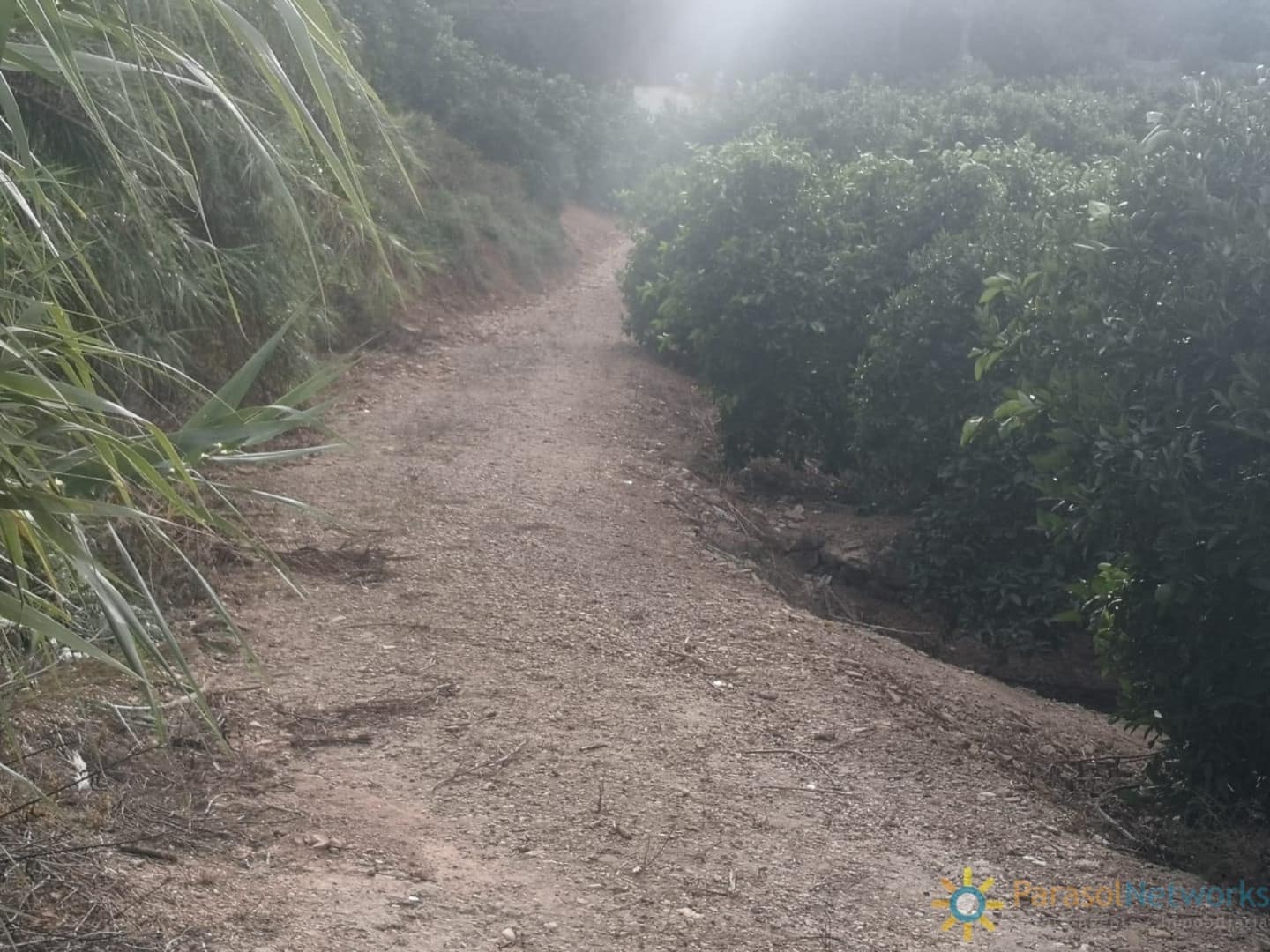 Undeveloped Land for sale in Sellent - € 31,000 (Ref: 9737343)