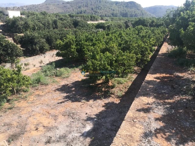 Undeveloped Land for sale in Oliva Pueblo, Oliva - € 28,000 (Ref: 9740235)