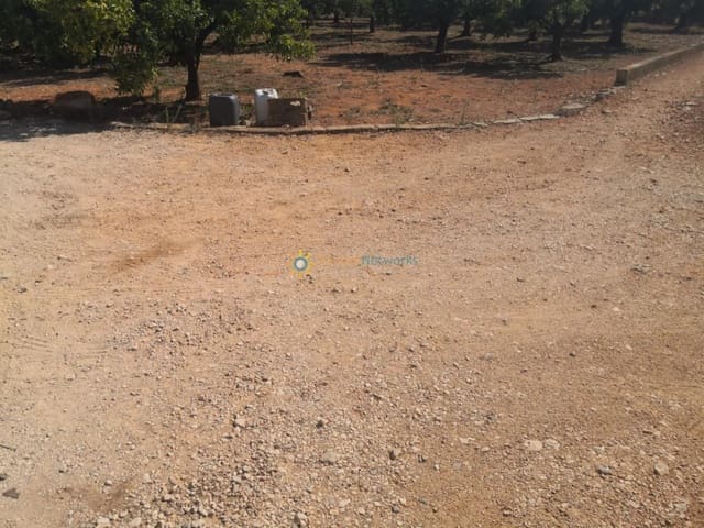 Undeveloped Land for sale in Oliva Pueblo, Oliva - € 28,000 (Ref: 9740235)