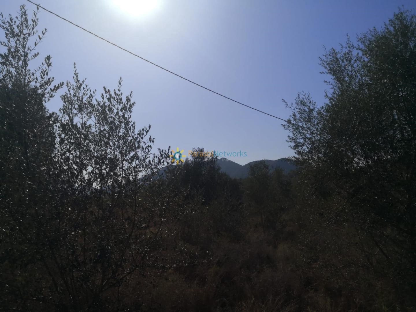 Undeveloped Land for sale in Pego - € 29,000 (Ref: 9741368)