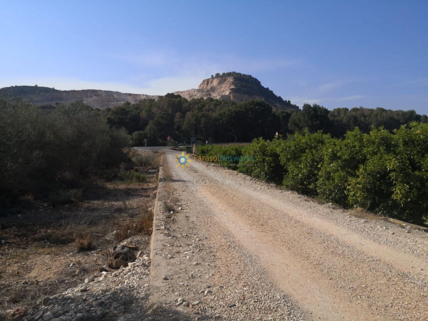 Undeveloped Land for sale in Pego - € 29,000 (Ref: 9741368)