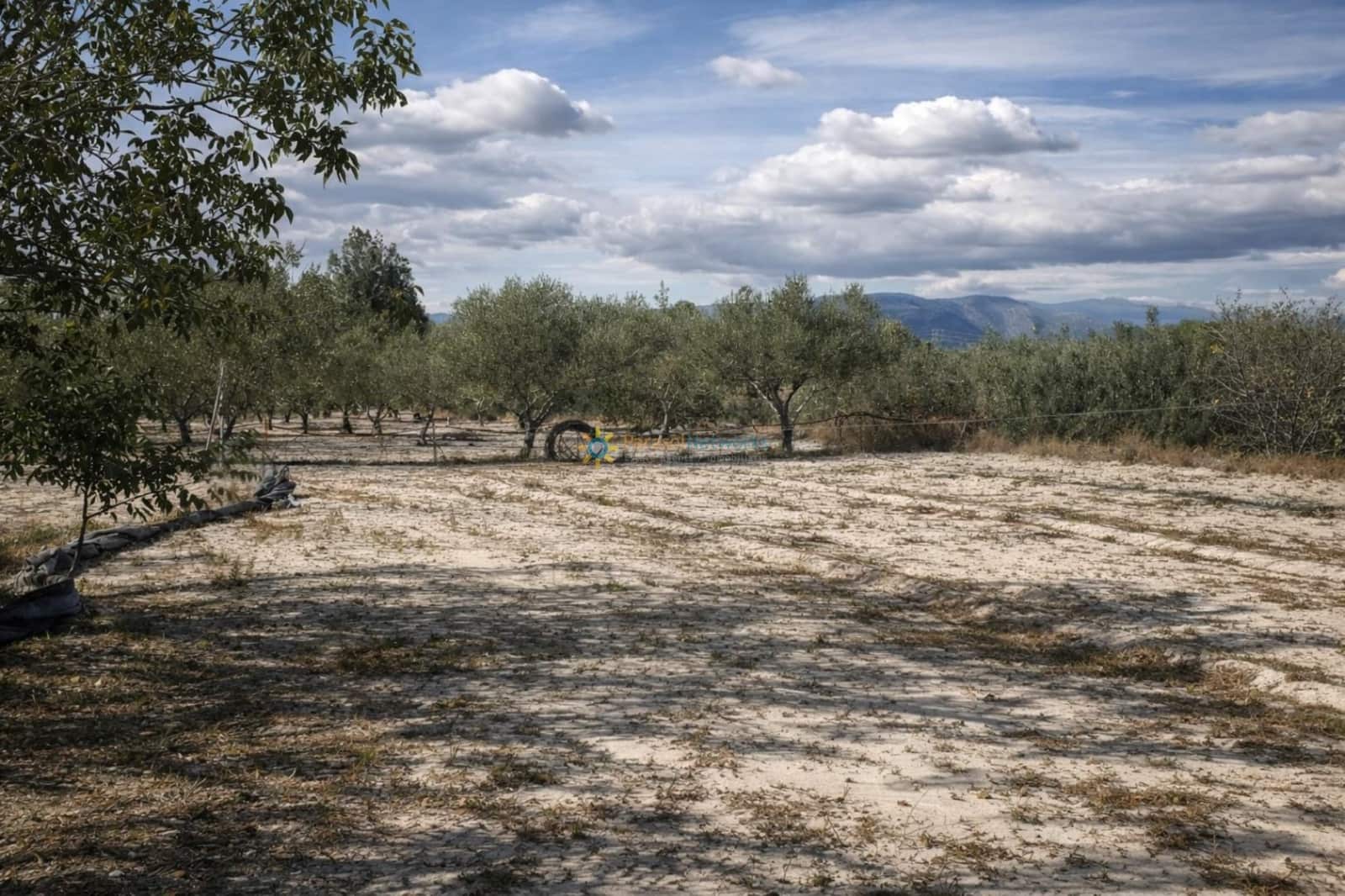 3 bedroom Finca/Country House for sale in Bufali with garage - € 110,000 (Ref: 9741369)