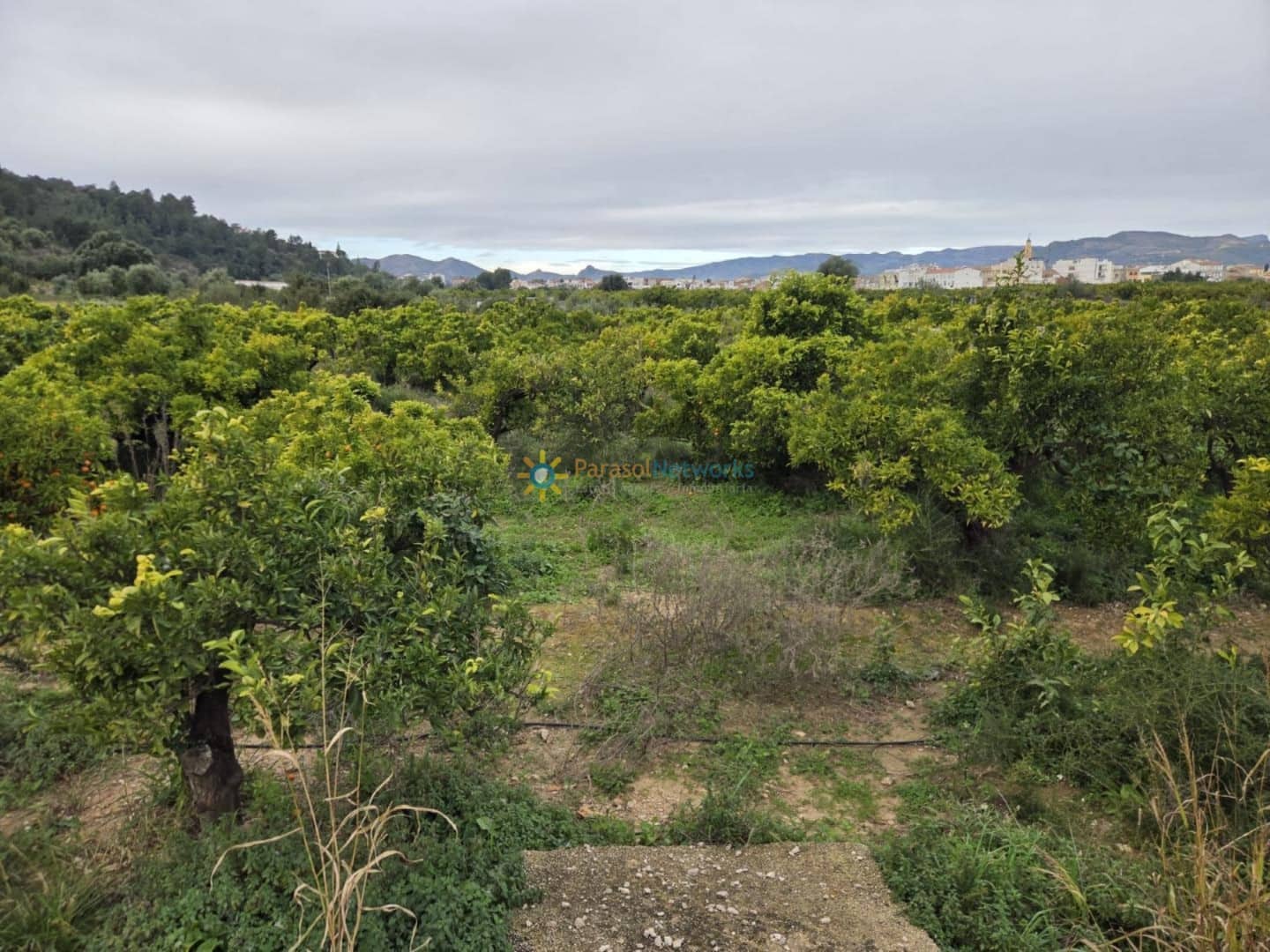 Rakentamaton maa myytävänä paikassa Rafelcofer - 14 500 € (Ref: 9751418)