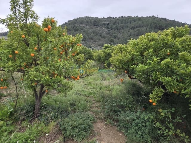 Ubebygd land til salgs i Rafelcofer - € 14 500 (Ref: 9751418)