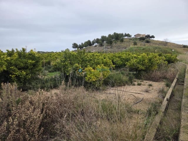 Ubebygd land til salgs i Rafelcofer - € 14 500 (Ref: 9751418)