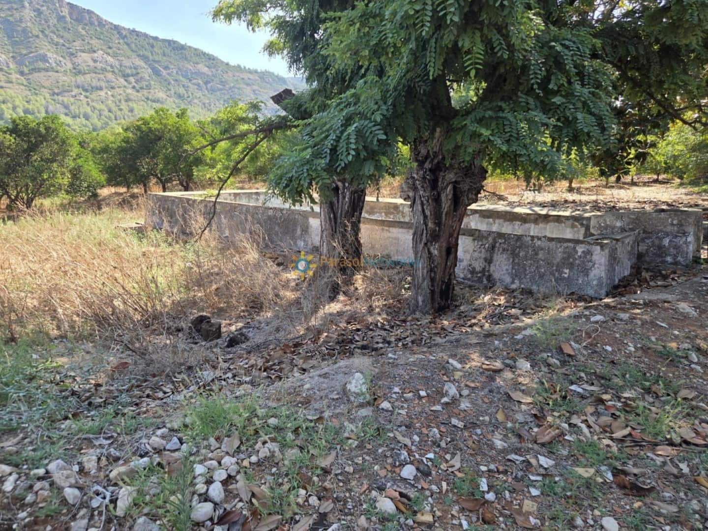 11 chambre Finca/Maison de Campagne à vendre à Alzira avec piscine - 2 000 000 € (Ref: 9759375)