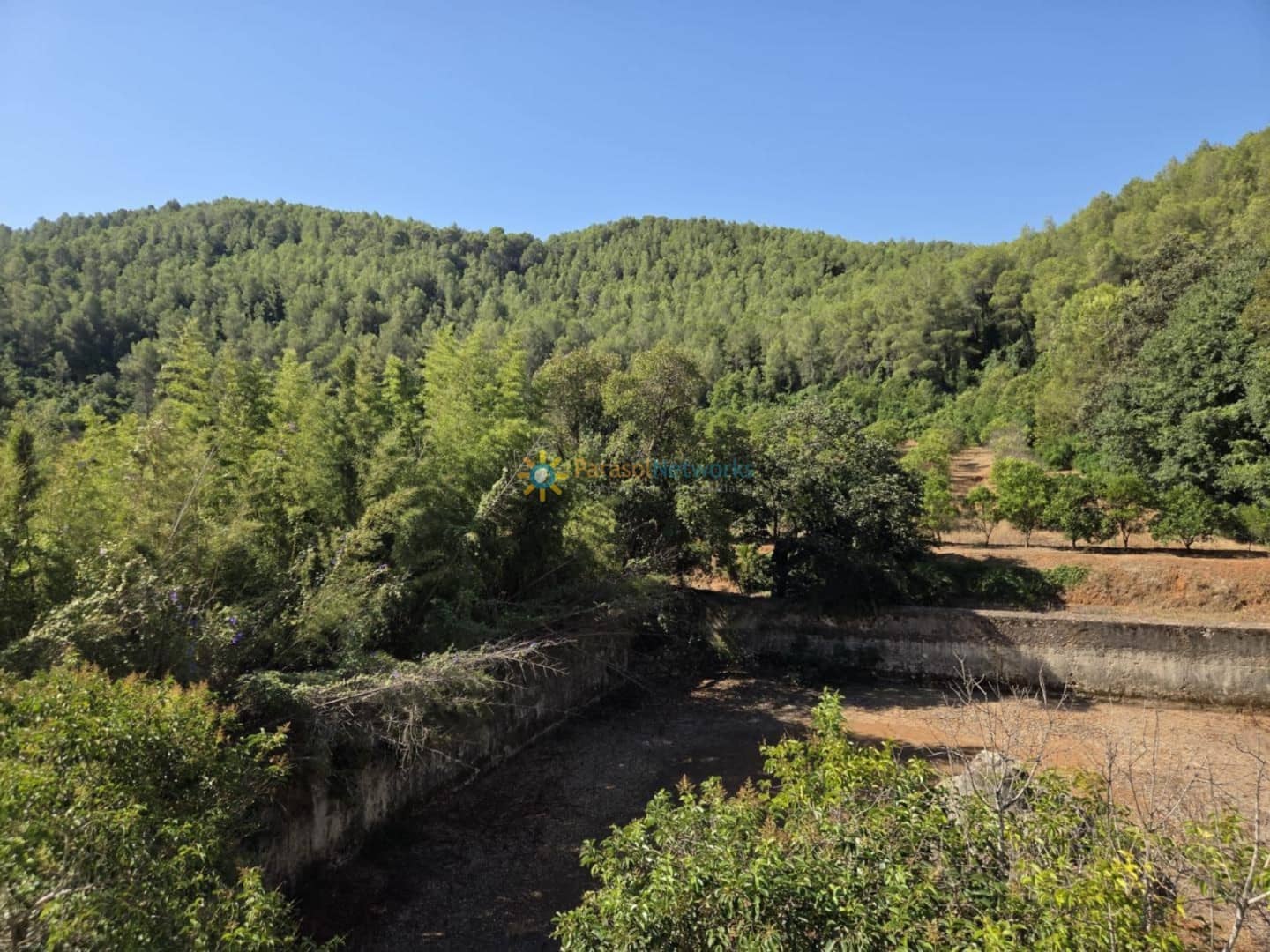 11 chambre Finca/Maison de Campagne à vendre à Alzira avec piscine - 2 000 000 € (Ref: 9759375)