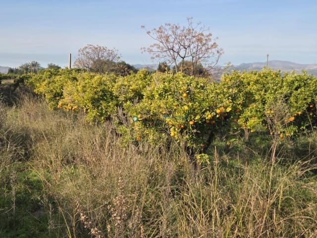 Building Plot for sale in Rafelcofer - € 8,500 (Ref: 9761466)