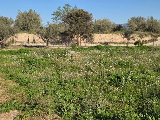 Ubebygd land til salgs i L'Olleria - € 70 000 (Ref: 9761469)