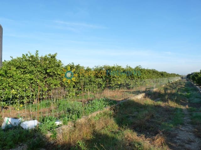 Byggetomt til salgs i Oliva Pueblo, Oliva - € 120 000 (Ref: 9761539)