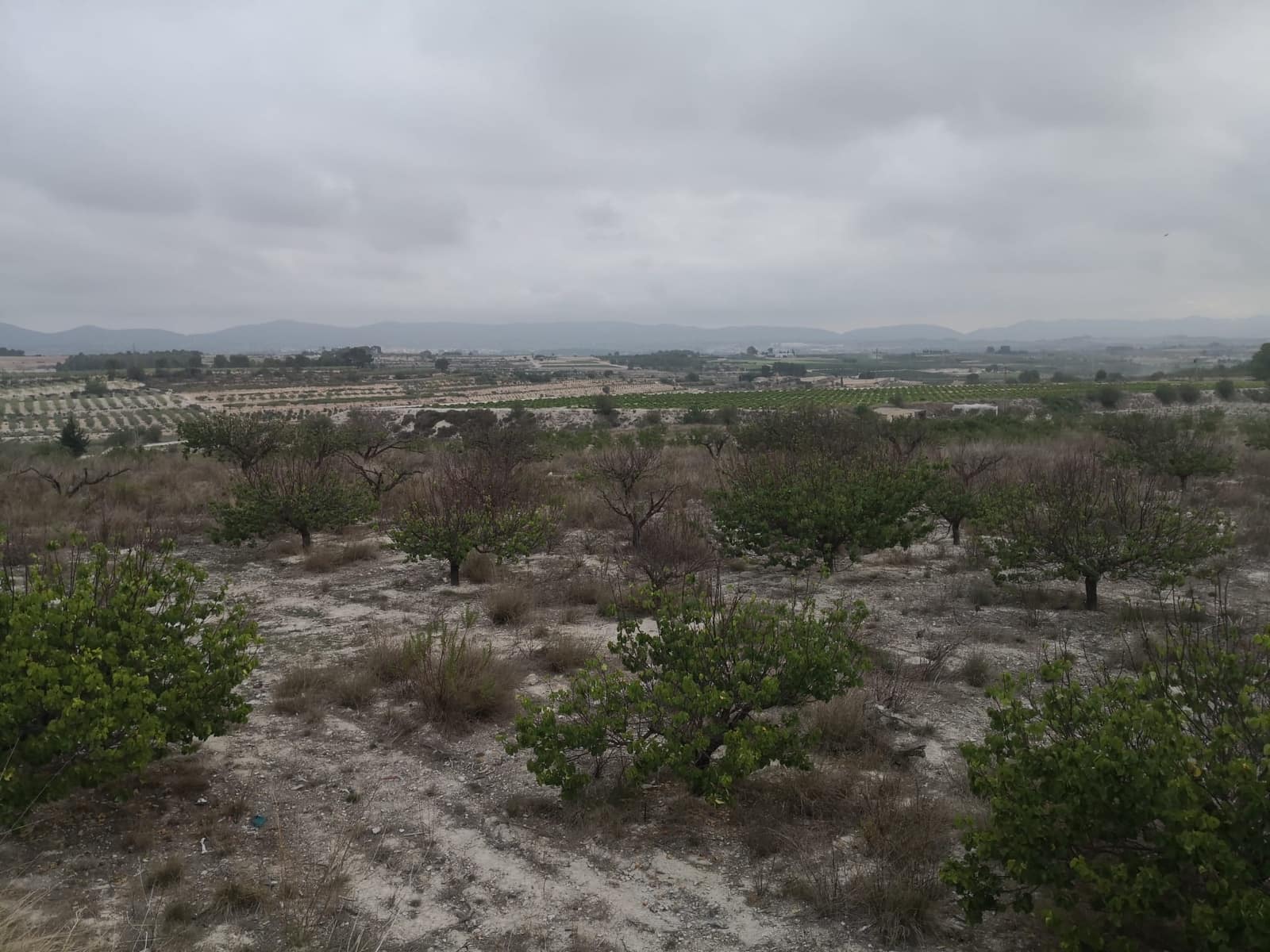 Finca/Herregård til salgs i Albaida med garasje - € 375 000 (Ref: 9770102)