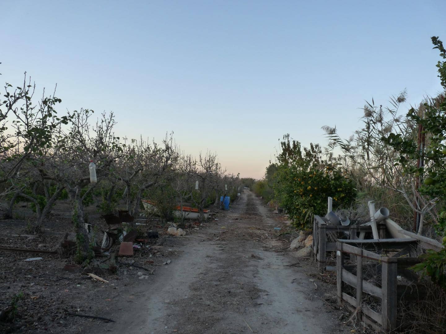 Tontti myytävänä paikassa Pego - 50 000 € (Ref: 9773412)