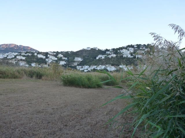 Tontti myytävänä paikassa Pego - 50 000 € (Ref: 9773412)