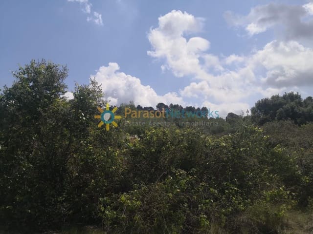 Solar/Parcela en Castelló de Rugat en venta - 19.000 € (Ref: 9774375)