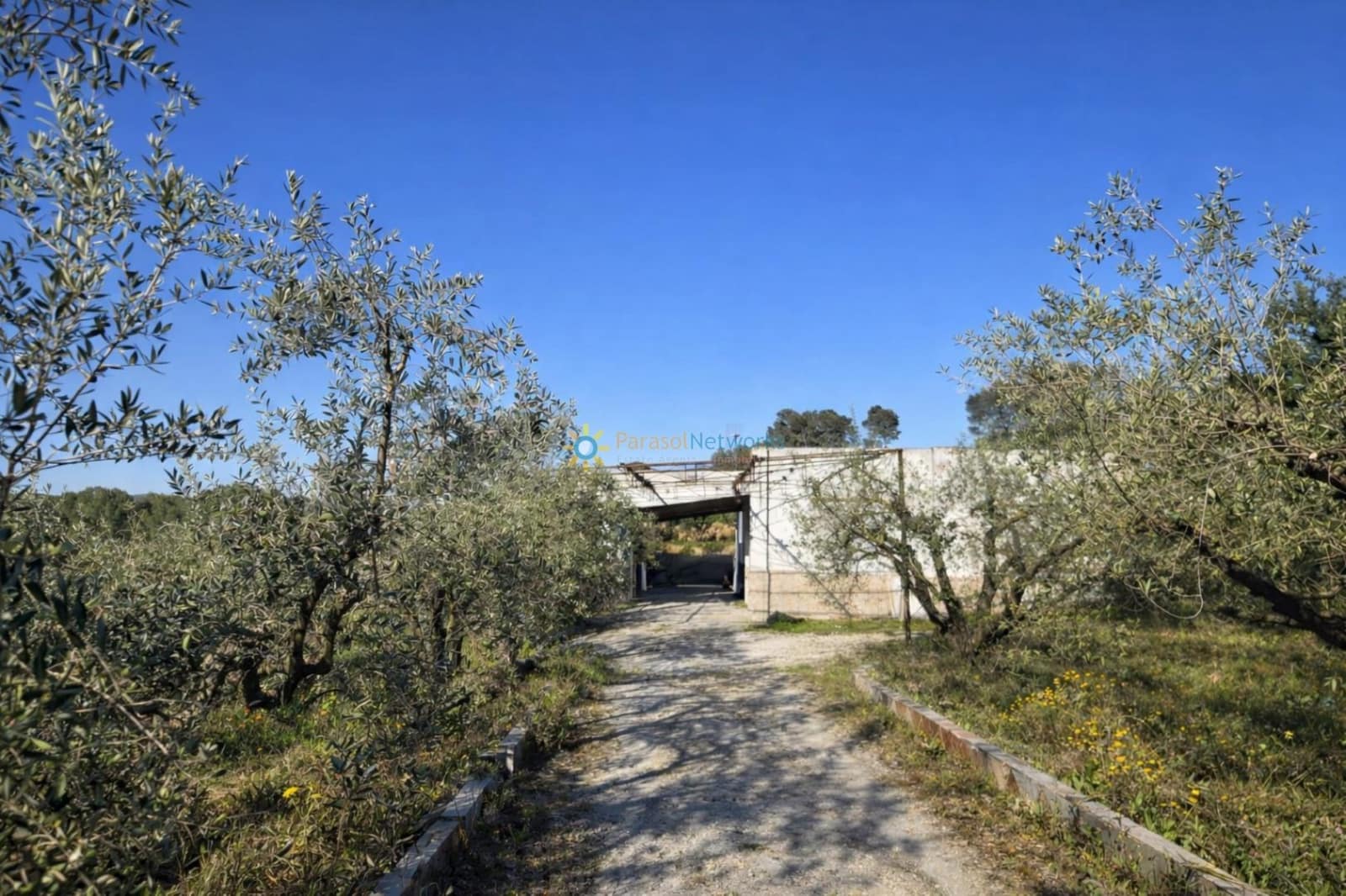 Grond te koop in Beniganim - € 127.000 (Ref: 9777293)