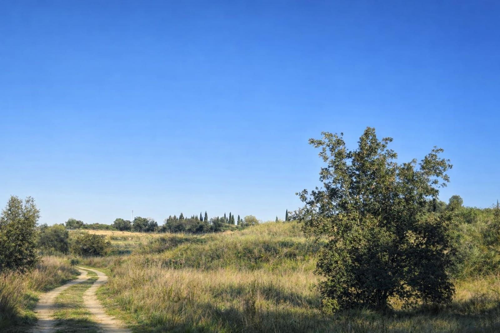 Byggegrund til salg i Montaverner - € 75.000 (Ref: 9782507)